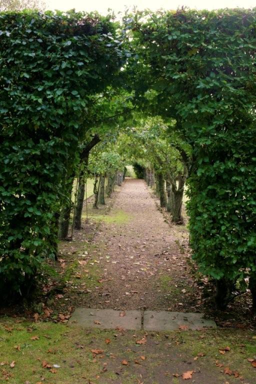 Cisswood House Hotel Horsham Bagian luar foto