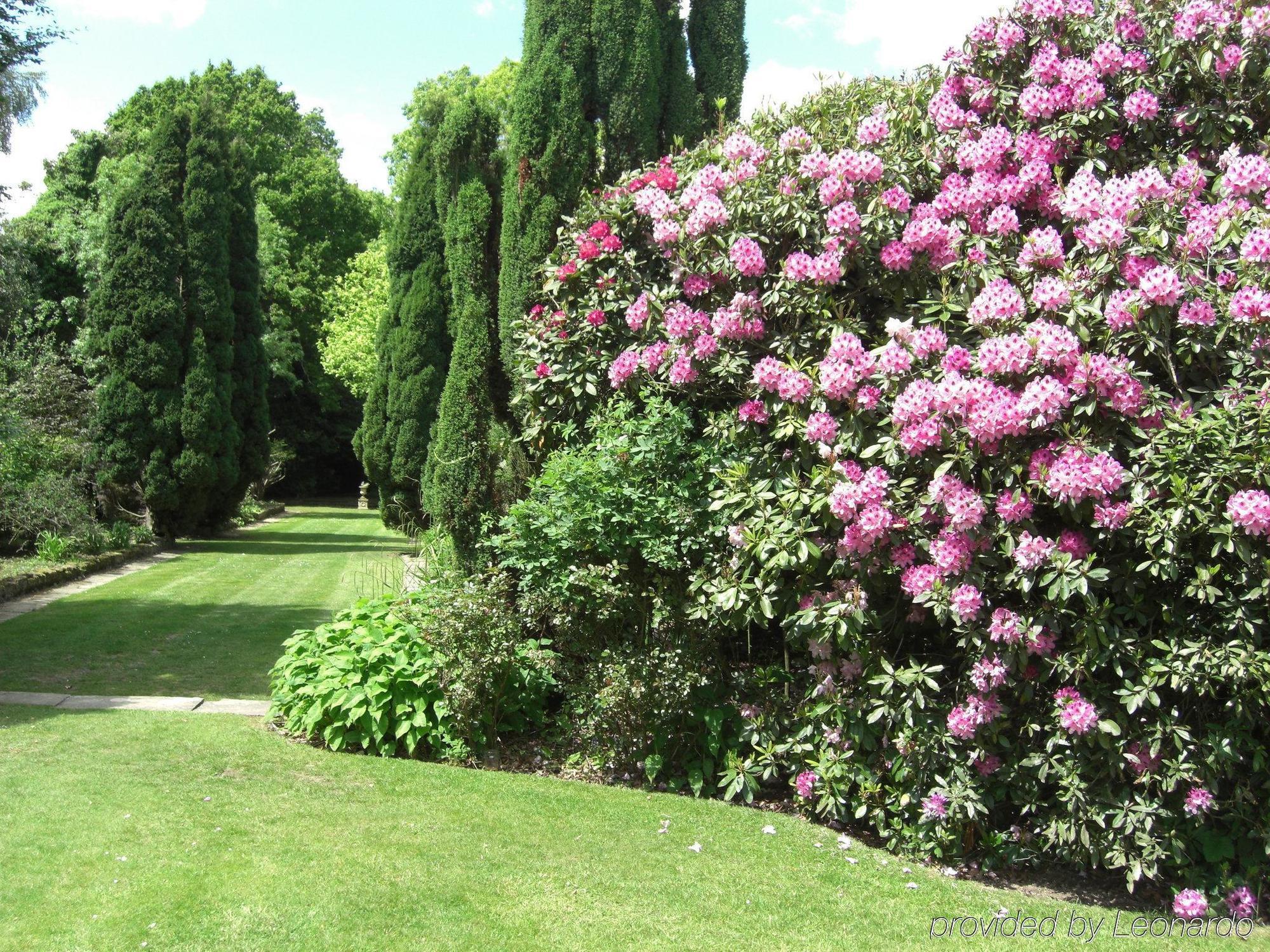 Cisswood House Hotel Horsham Fasilitas foto