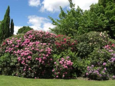 Cisswood House Hotel Horsham Bagian luar foto
